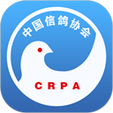 中国信鸽协会appv2.11.0安卓版