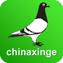 中国信鸽信息网app最新版v20230112安卓版