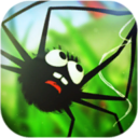 蜘蛛的冒险v1.3.50安卓版
