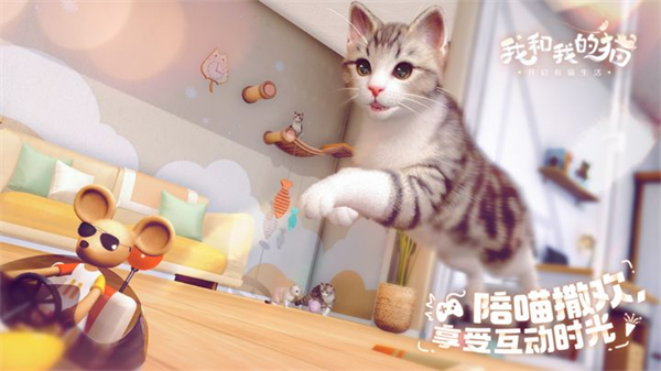 我和我的猫2