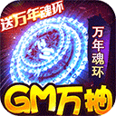 斗罗大陆神界传说2GM送无限商城版v1.0.1