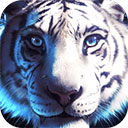 野生老虎模拟器v1.0.5安卓版