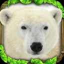 终极北极熊模拟器v1安卓版